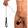 Leash with choke collar for penis